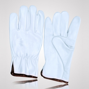 Driver Gloves