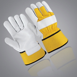 Winter & Dressing Gloves