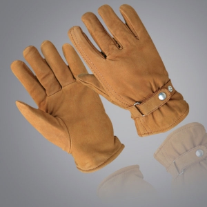 Winter & Dressing Gloves