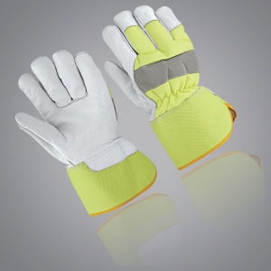 Winter & Dressing Gloves