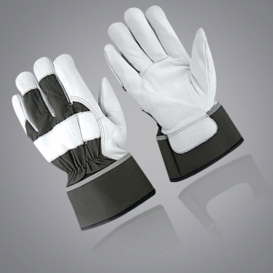Winter & Dressing Gloves