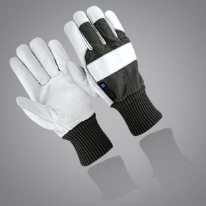 Winter & Dressing Gloves