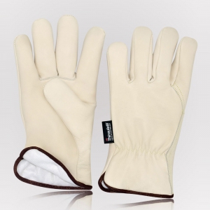 Winter & Dressing Gloves
