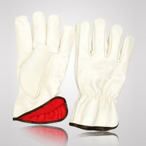 Winter & Dressing Gloves