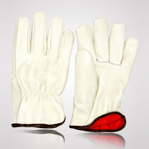Winter & Dressing Gloves