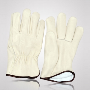 Winter & Dressing Gloves