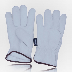 Winter & Dressing Gloves