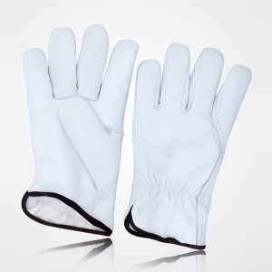 Winter & Dressing Gloves