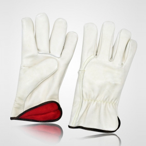 Winter & Dressing Gloves