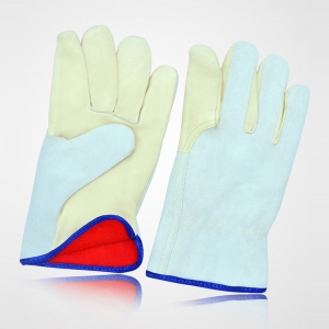 Winter & Dressing Gloves