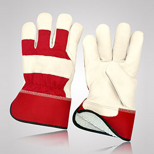 Winter & Dressing Gloves
