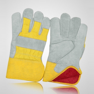 Winter & Dressing Gloves