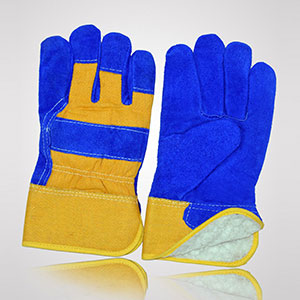 Winter & Dressing Gloves