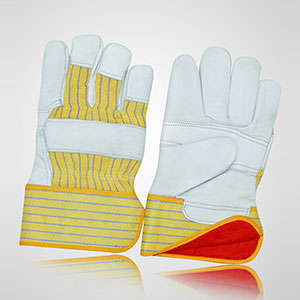 Winter & Dressing Gloves