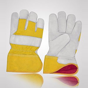 Winter & Dressing Gloves
