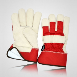 Winter & Dressing Gloves