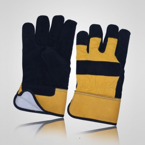 Winter & Dressing Gloves
